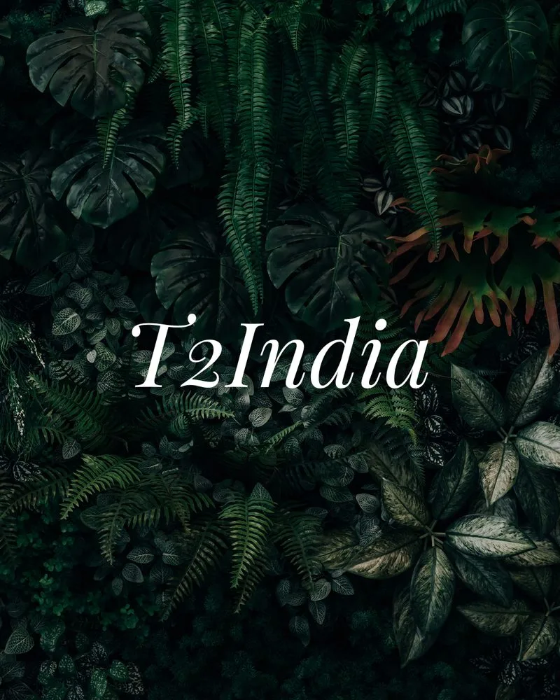 T2India heritage travel brand repositioning